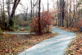 Turn left at the next intersecting wide asphalt trail.