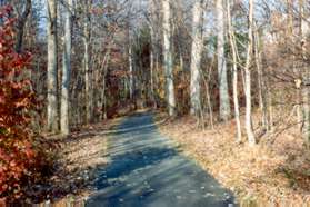 The trail passes through the woods with a creek on the left and homes on the right.