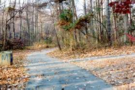 Continue straight at the next trail intersecting from the right.