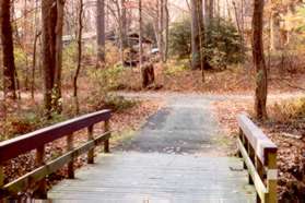 After crossing a bridge over Glade Creek turn left at the intersecting trail.