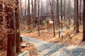 The trail crosses Soapstone Dr.  Continue straight on the trail on the other side.