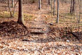 The Pine Branch Trail intersects from the right.  Continue on the present trail.