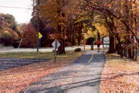 Start east on the trail from the Community Center towards Park St.