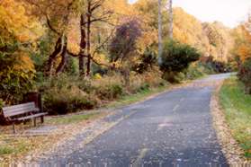 The intersecting trail beyond the bench goes to Branch Rd.  Continue straight on the W&OD trail.