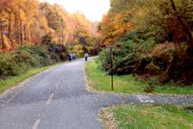 The intersecting trail on the right leads to Talahi Rd.  Continue straight on the W&OD Trail.