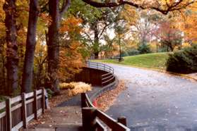 The trail continues adjacent to the driveway.