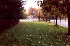After reaching the front of the buildings the formal path crosses the driveway.  However, continue across the grass to the street without crossing the driveway.