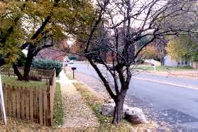 At the street (Electric Av) turn left and follow the sidewalk.