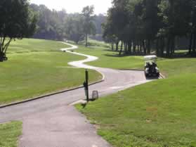 The trail goes down a hill and joins a golf cart path for a short distance.