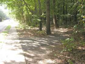 Take the asphalt trail that leads to the right into the woods.