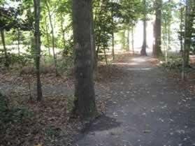 An asphalt trail intersects from the left. Continue straight on the present trail.