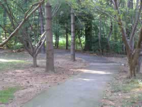 The trail enters a wooded area.