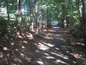 The trail turns right to follow South Lakes Dr.