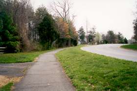 Pass the intersecting trail on the left and continue up the hill.