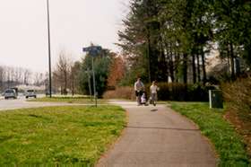 The trail crosses Great Owl Dr.  Continue along Reston Parkway.