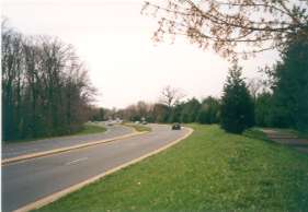 After crossing Bennington Woods Rd evergreens will screen houses to your right.