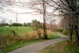 When the evergreen screen ends and a baseball field appears turn right on the wide asphalt  path.