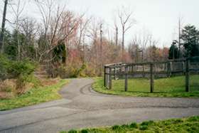 Take the first trail to the right following the swimming pool fence.