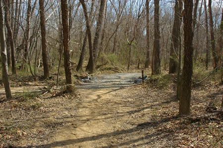 The horse trail and the CCT join together here.