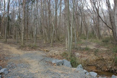 The horse trail goes to the right here and the CCT to the left.