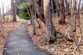 After a short section along Wiehle Ave the trail goes up the hill through the woods to rejoin the pipeline.  You are now back in Reston.