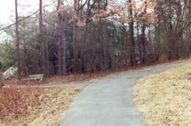 Prior to the top of the hill a narrow trail branches to the left.  Stay on the trail along the pipeline.