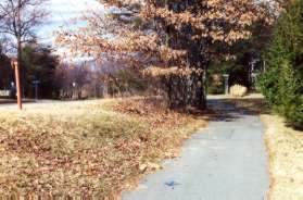 The trail intersects with a path along Lake Newport Rd.  Turn right and follow that trail.