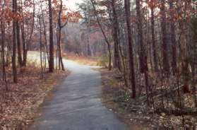 Turn right at the next trail where you rejoin the pipeline.