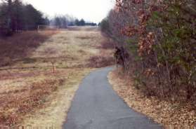 The trail follows the pipeline for a short distance and turns right.