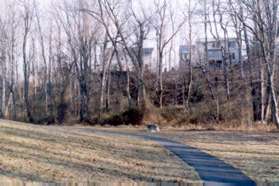 The path follows the creek as it curves to the left.