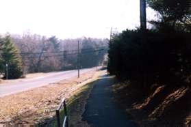 Turn right to follow the asphalt trail along Lawyers Road.