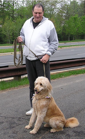 Salee the goldendoodle  in 2004.