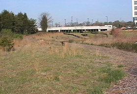 Turn left onto the mulched trail.