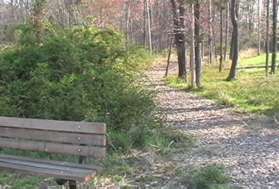 After crossing the bridge turn left at the first mulched trail to walk behind the building.