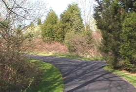 An asphalt trail intersects from the right.  Continue straight on the present trail.
