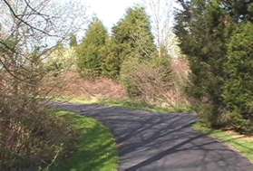 An asphalt trail intersects from the right.  Continue straight on the present trail.