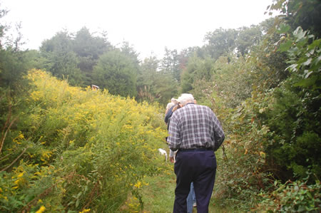 RA has a trail through the meadow.