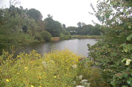 The west end of the pond.