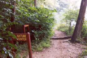 The trail to the left leads to the Nature Center.  Continue straight on the trail along the river.