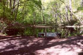 The trail comes to a pond.  Notice the change to the pond's surface between March and August.