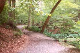 Take the trail up the hill to the left of the pond.