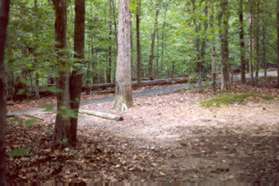 The trail intersects with an asphalt path.  Turn right onto the asphalt path.