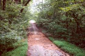 Turn left to follow the service road down the hill.