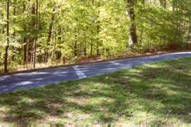 The trail crosses the entrance road to the visitor center.