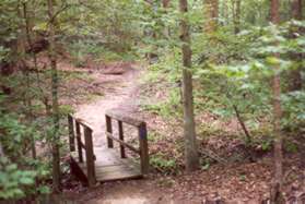 The trail crosses a short bridge and proceeds up the hill.