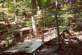 Turn left at the next trail intersection just beyond this bridge.