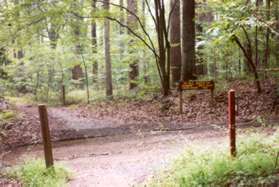 The trail crosses the next trail intersection.  On the other side it is paved.