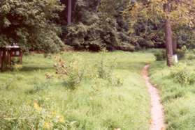 The trail enters a grassy area with a display board on the left.  Continue on the trail along the river.