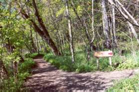 This sign marks an intersection with the Uplands Trail.