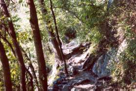 This is another view of the short rocky section of trail.